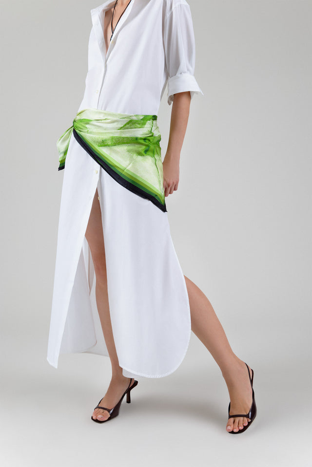 Shirtdress, Cotton Poplin